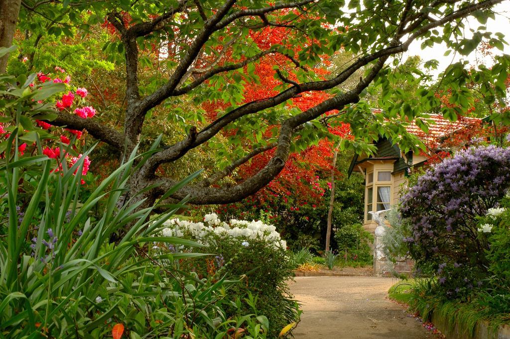 Broomelea Bed & Breakfast Leura Kültér fotó